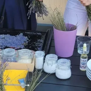 Lavender-Themed Workshops