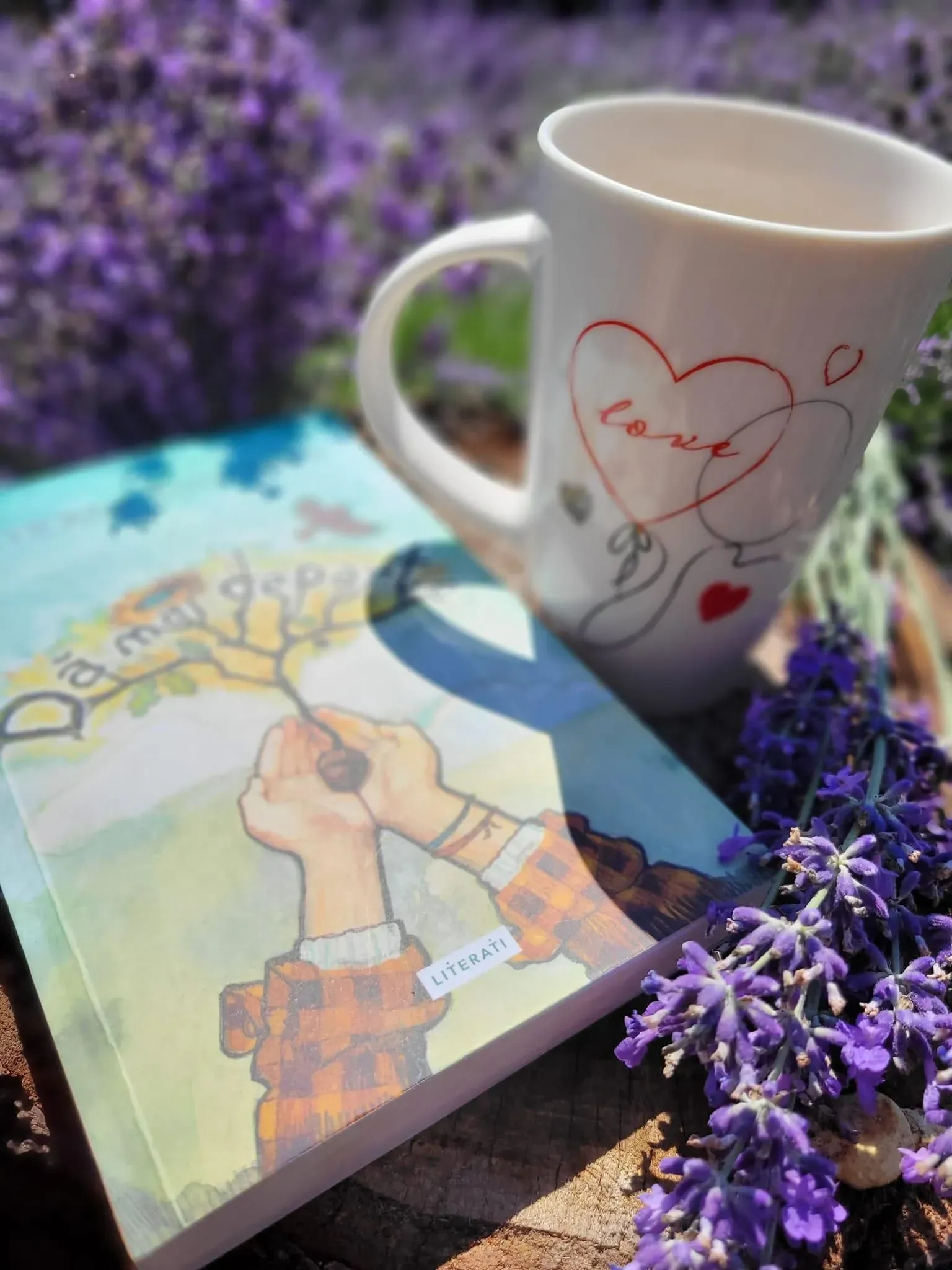 Ședințe foto - imagine 10