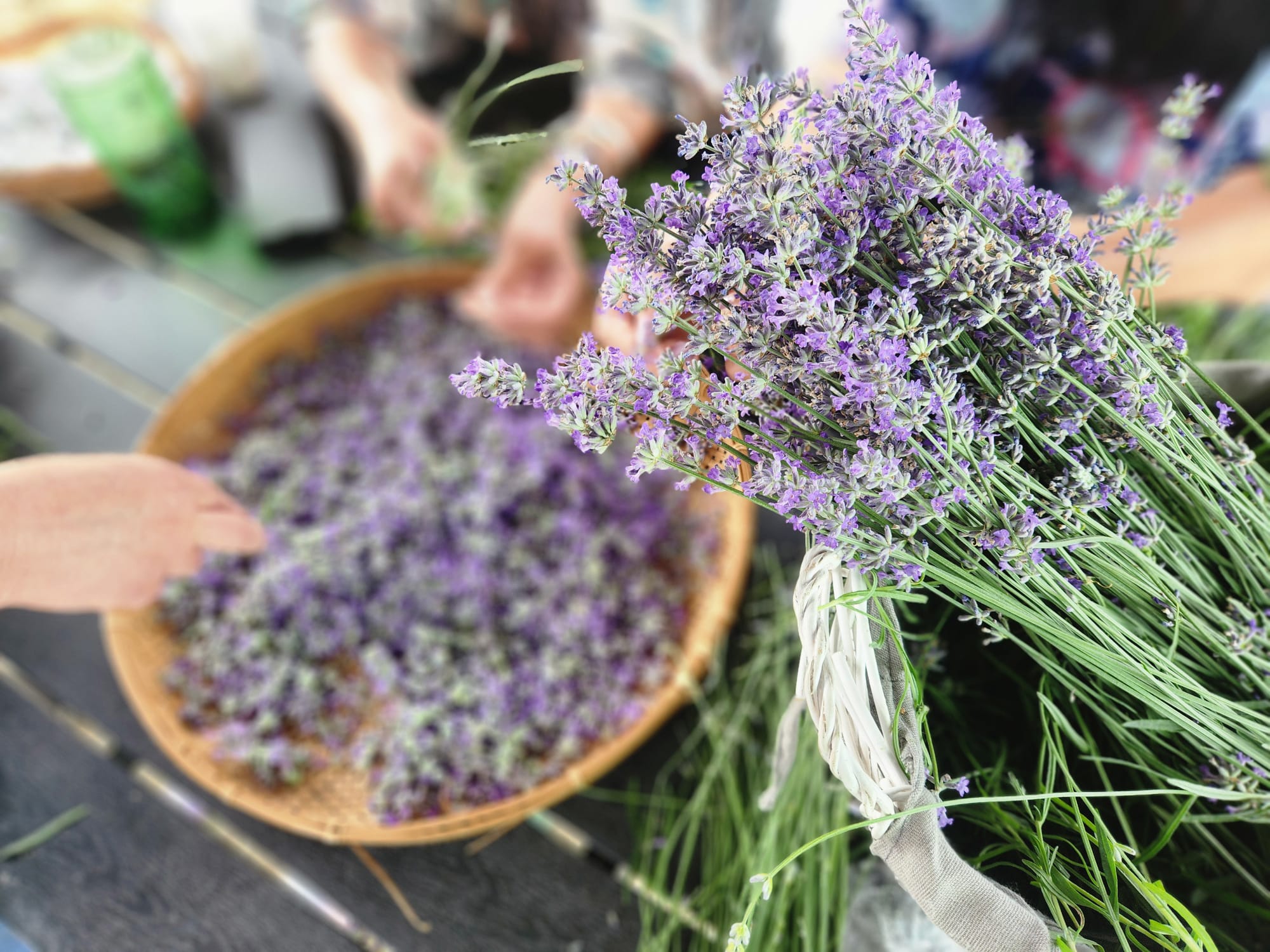 Lavender sachets - Image 4