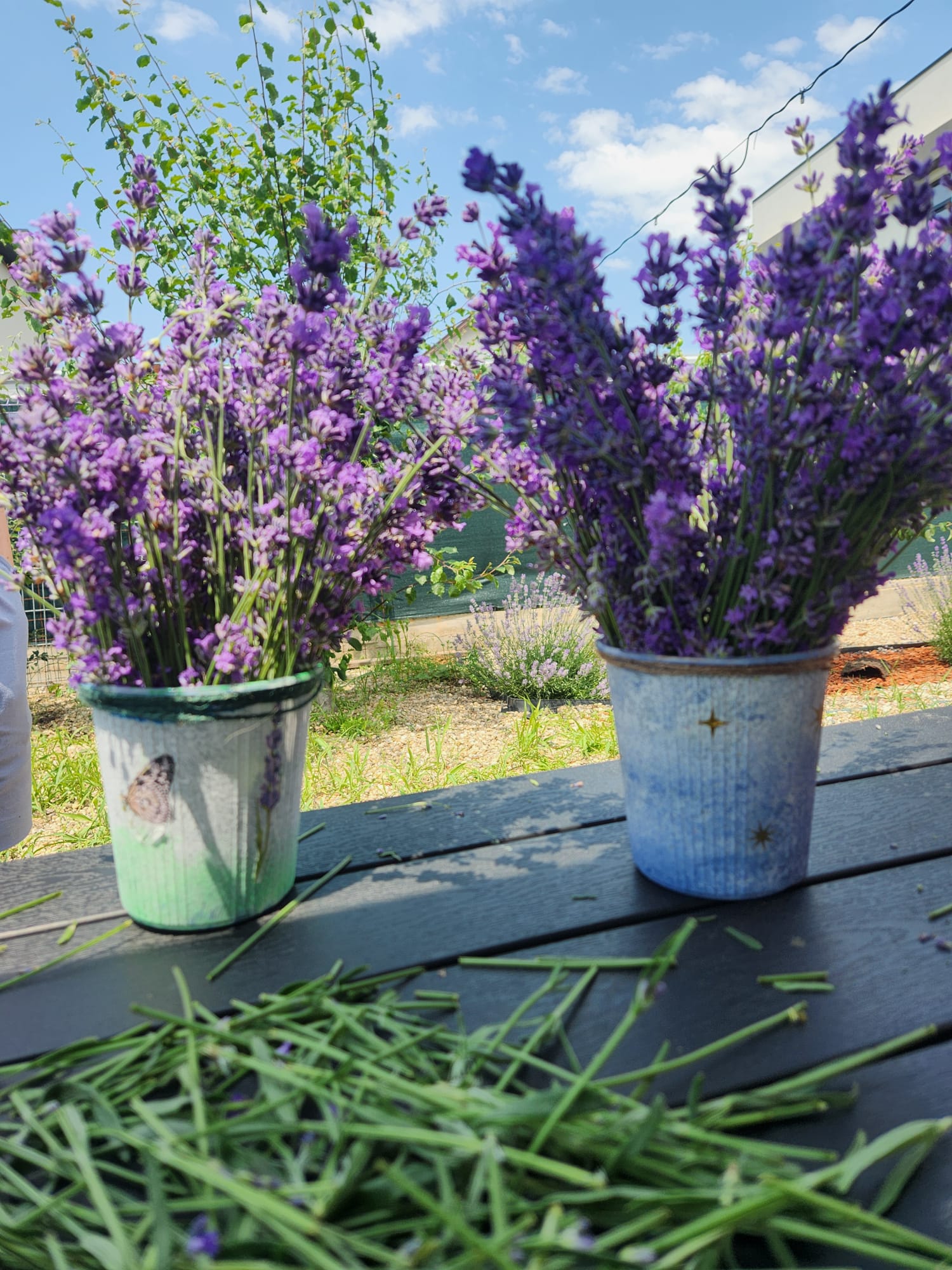 Ateliere cu tematică de lavandă - imagine 6