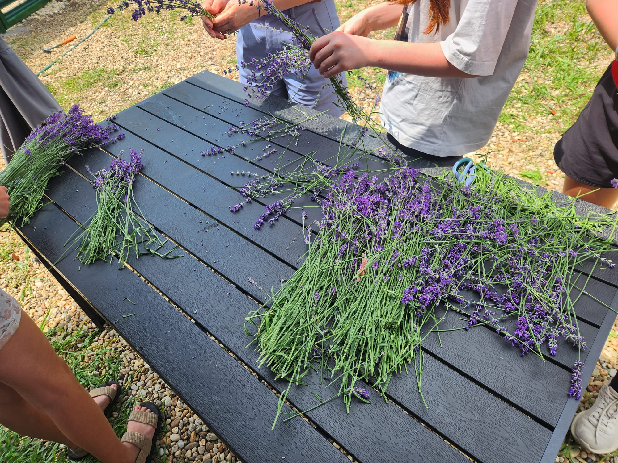 Ateliere cu tematică de lavandă - imagine 5
