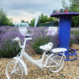 Lavender Garden Tours