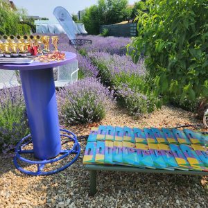 Graduation celebrations / various school occasions