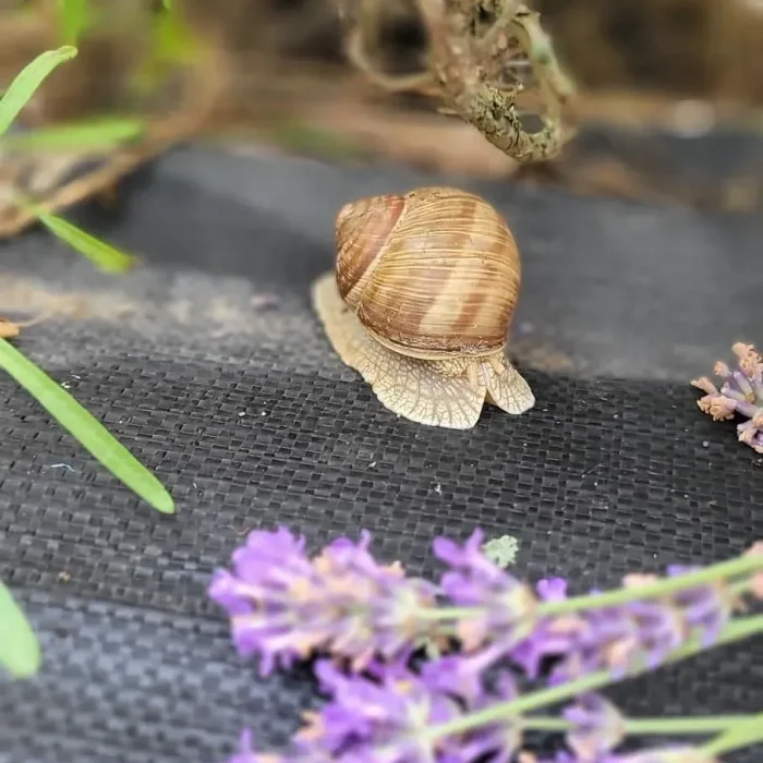 09111aa8-34e3-4354-af86-9b980d23fc6e_2048x2048