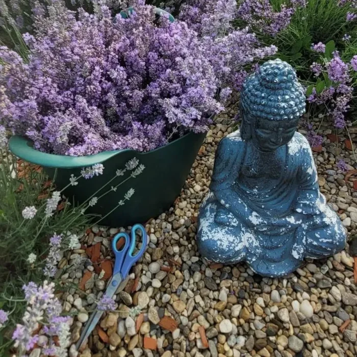 5e0379cc-f5b7-4224-b8e2-c56e792a1c0f_2048x2048