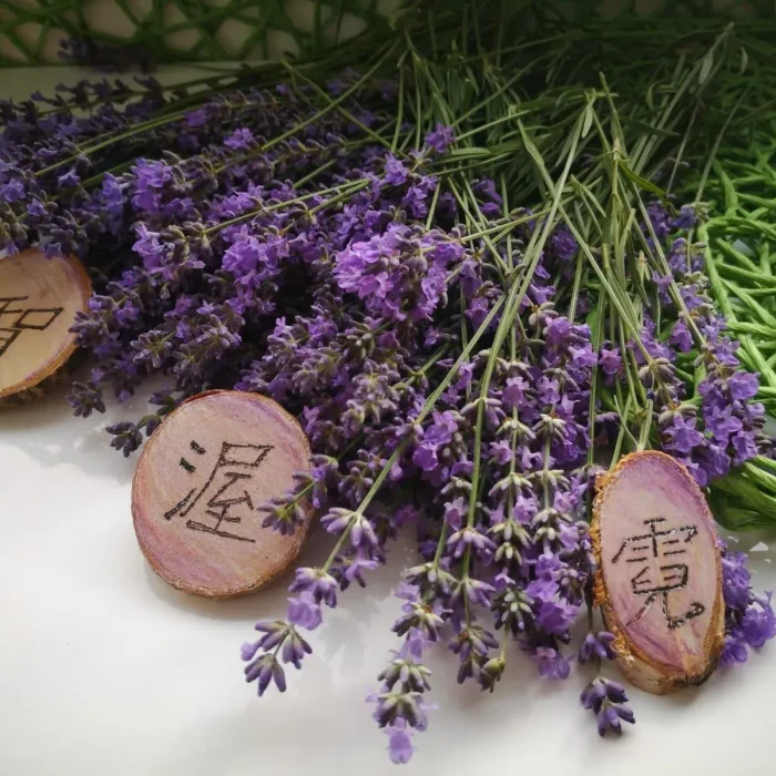 62b8c0d8-e856-49cd-a25c-5aa7ca2c13d6_2048x2048