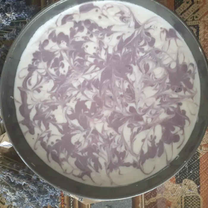 cb2145d6-b794-44d3-a6b8-4af8ad9fb16b_2048x2048