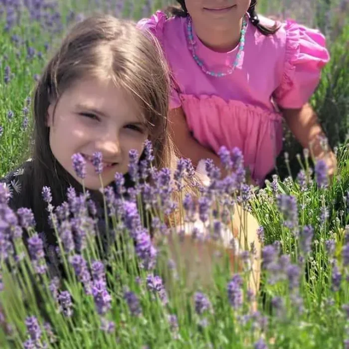 e2ead0ca-223e-4852-87d7-90a432b59d10_2048x2048